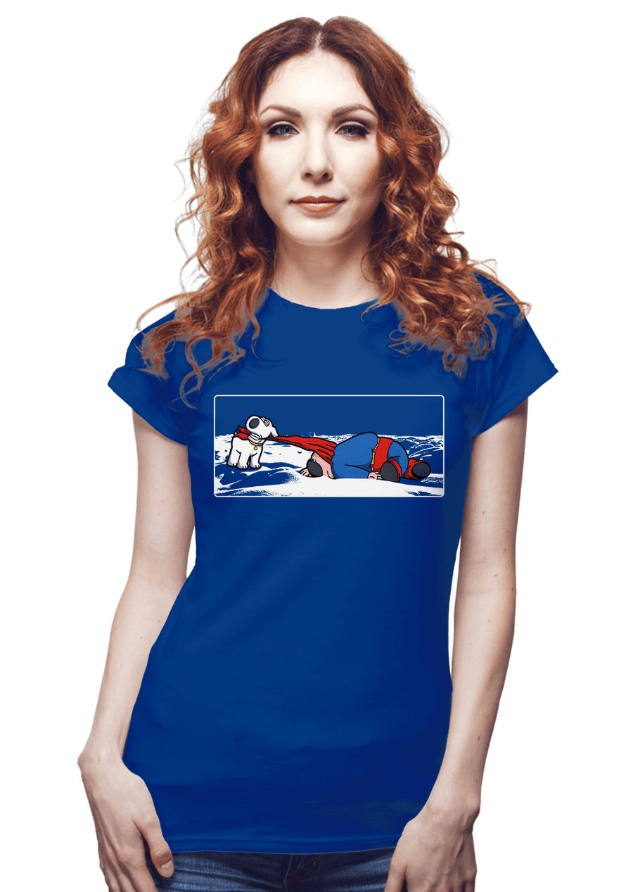 Last_Chance_Shirts Take Me Home Take Me Home
