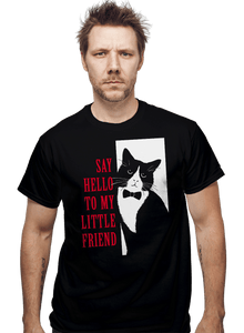 Daily_Deal_Shirts Say Hello to My Little Friend Say Hello to My Little Friend