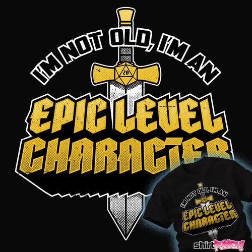 Daily_Deal_Shirts Epic Level Character Epic Level Character