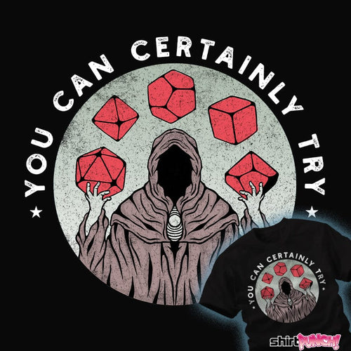 Secret_Shirts You Can Certainly Try You Can Certainly Try