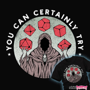 Secret_Shirts You Can Certainly Try You Can Certainly Try