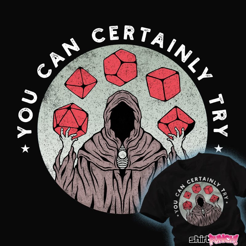 Secret_Shirts You Can Certainly Try You Can Certainly Try