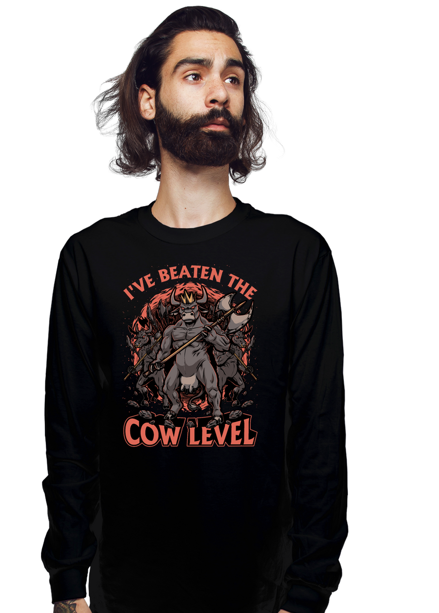 I Beat The Cow Level