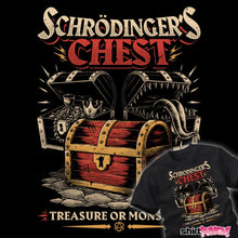 Load image into Gallery viewer, Schrödinger's Treasure
