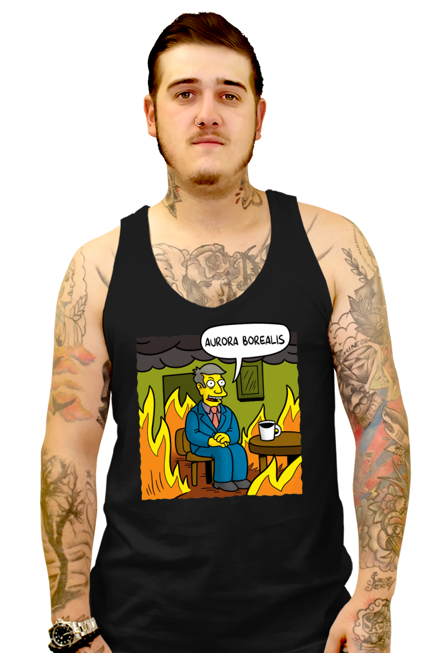 This Is Aurora Borealis