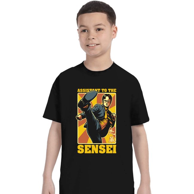 Daily_Deal_Shirts T-Shirts, Youth / XS / Black Assistant To The Sensei