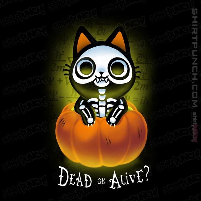Daily_Deal_Shirts Magnets / 3"x3" / Black Schrodinger Halloween