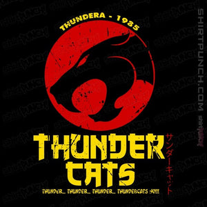 Daily_Deal_Shirts Magnets / 3"x3" / Black Thundercats Japan