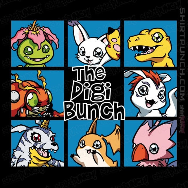 Secret_Shirts Magnets / 3