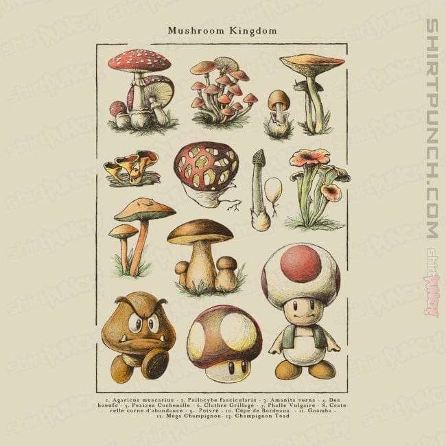 Daily_Deal_Shirts Magnets / 3"x3" / Natural Mario Mushrooms