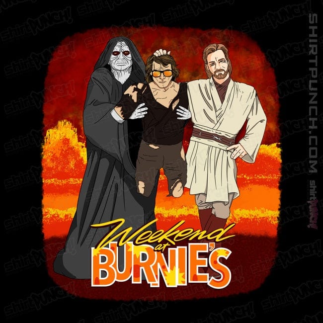 Secret_Shirts Magnets / 3