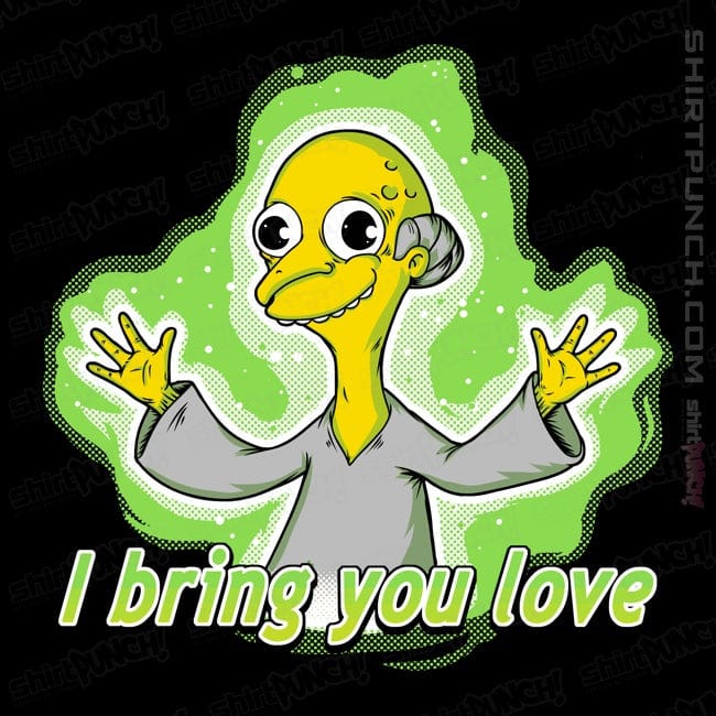 Secret_Shirts Magnets / 3