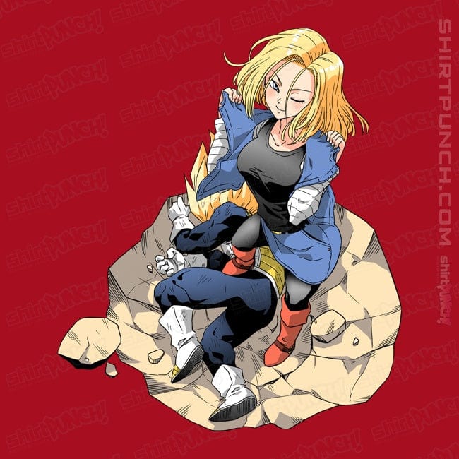 Secret_Shirts Magnets / 3