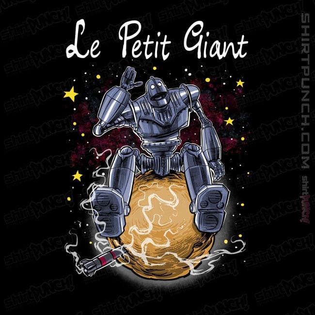 Secret_Shirts Magnets / 3