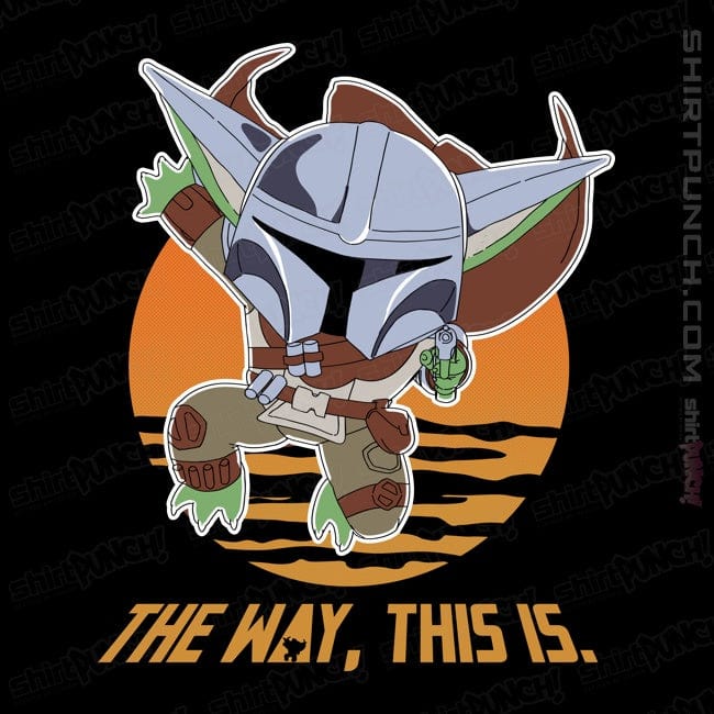 Secret_Shirts Magnets / 3