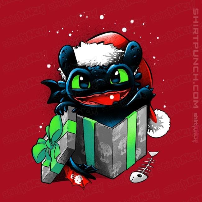 Secret_Shirts Magnets / 3