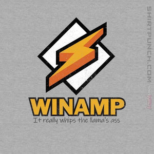 Shirts Magnets / 3"x3" / Sports Grey Winamp