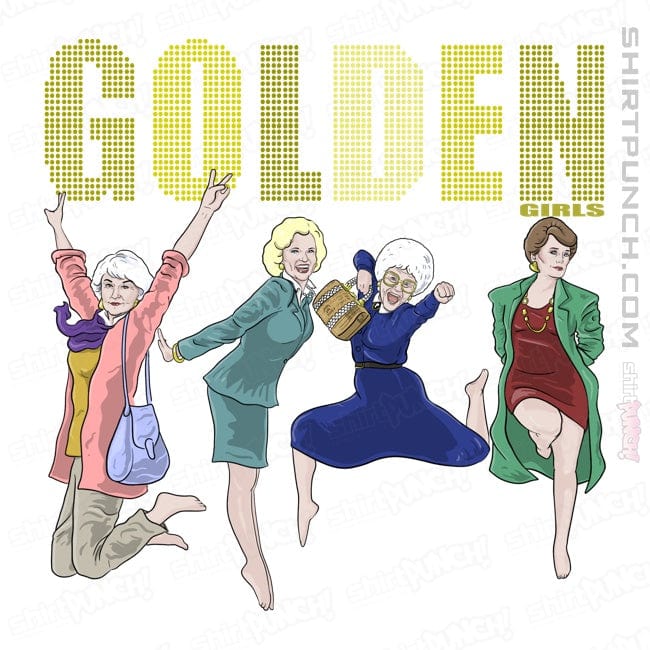 Secret_Shirts Magnets / 3