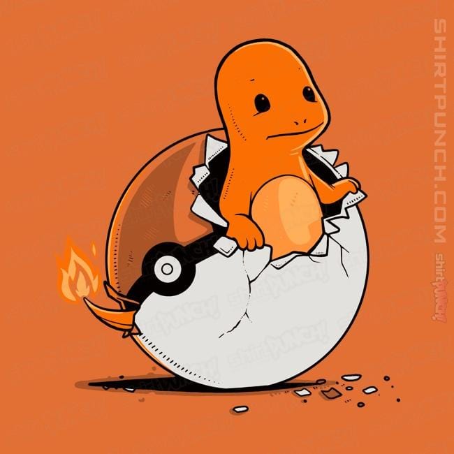 Shirts Magnets / 3"x3" / Orange Pokegg Ball