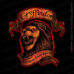 Shirts Magnets / 3"x3" / Black Gryffindor