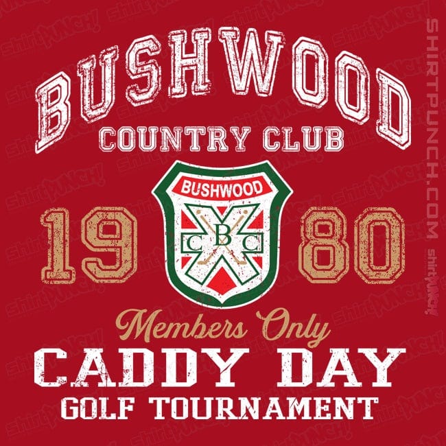 Secret_Shirts Magnets / 3