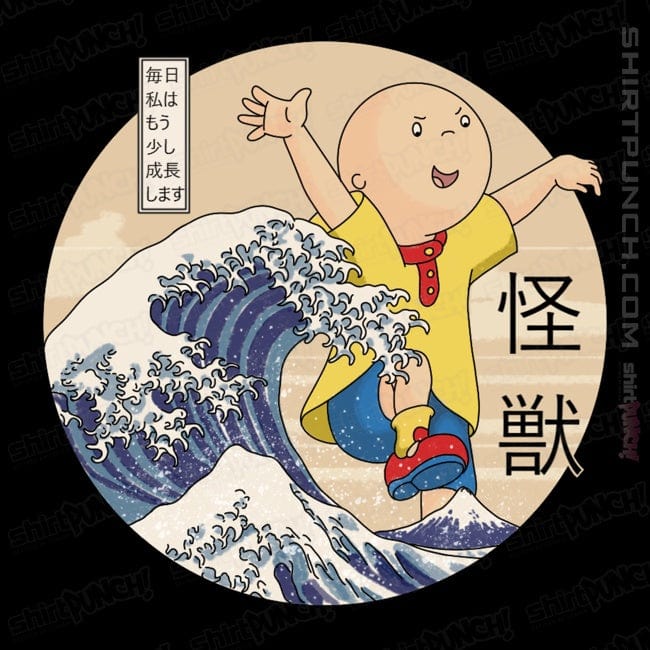 Secret_Shirts Magnets / 3