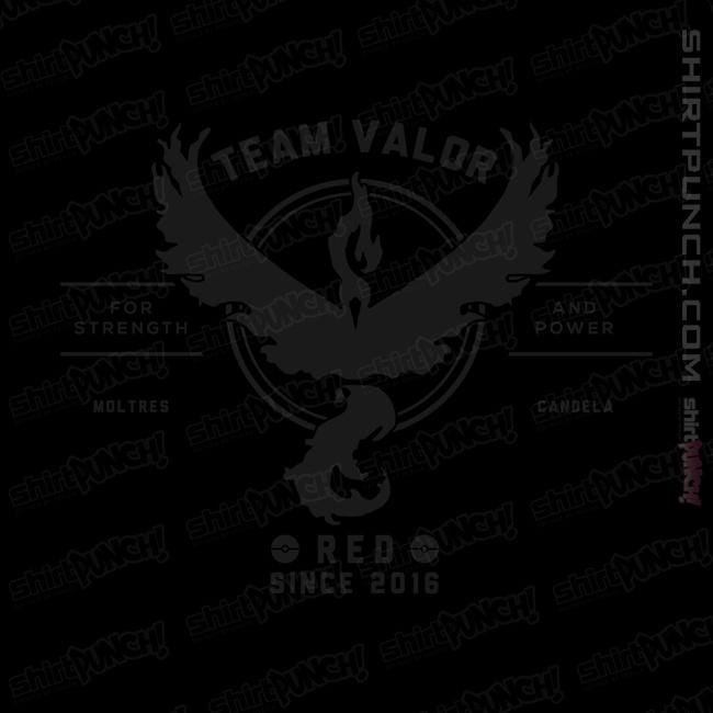 Shirts Magnets / 3"x3" / Black Valor Trainer
