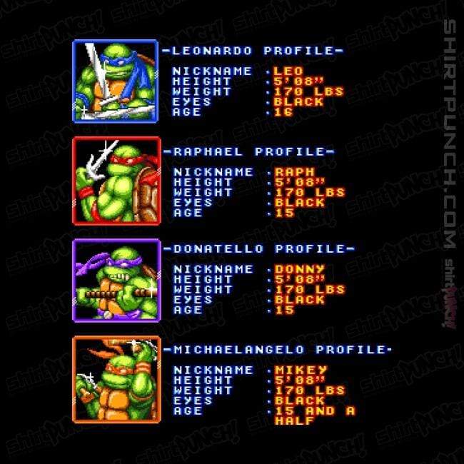 Secret_Shirts Magnets / 3"x3" / Black TMNT Profiles