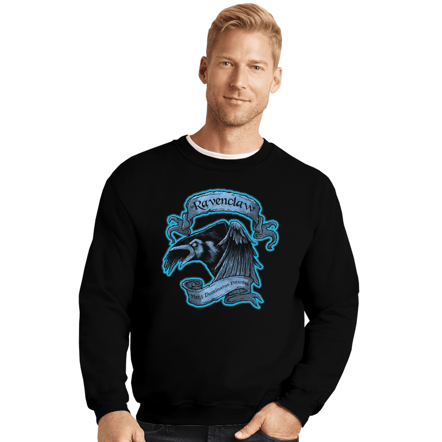 Shirts Crewneck Sweater, Unisex / Small / Black Ravenclaw