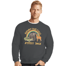 Load image into Gallery viewer, Shirts Crewneck Sweater, Unisex / Small / Charcoal Street Dogs
