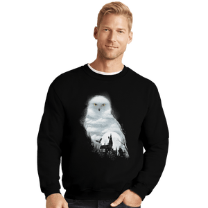 Shirts Crewneck Sweater, Unisex / Small / Black Magical Owl