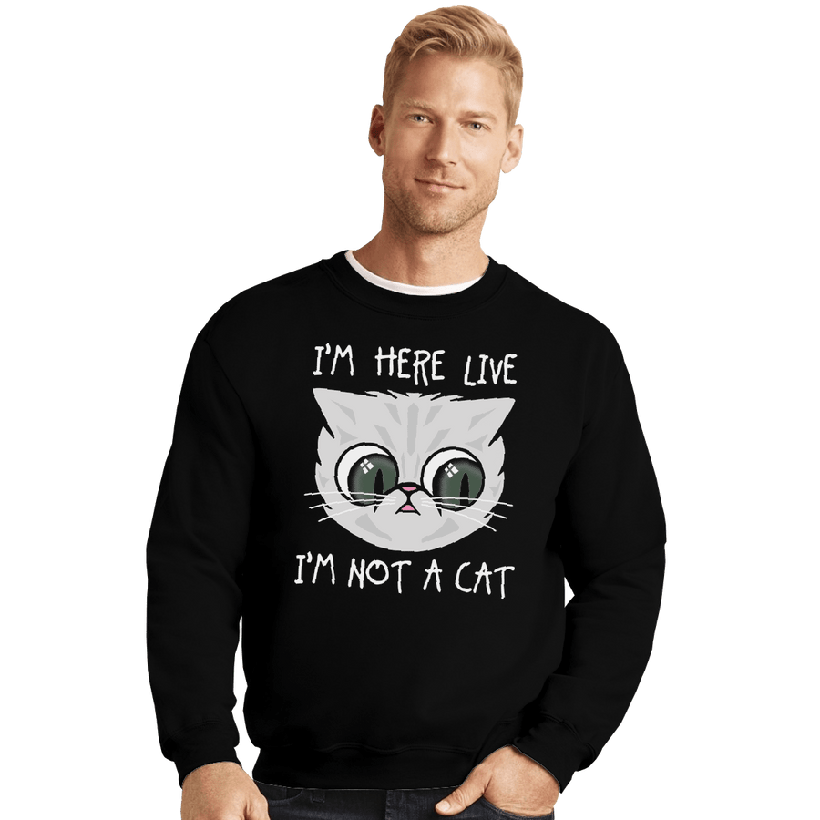 Secret_Shirts Crewneck Sweater, Unisex / Small / Black Not Cat