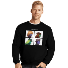 Load image into Gallery viewer, Shirts Crewneck Sweater, Unisex / Small / Black Discovery Days
