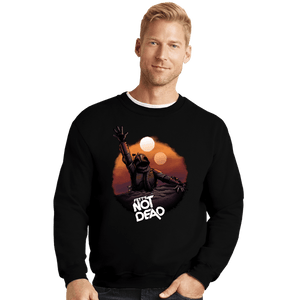 Secret_Shirts Crewneck Sweater, Unisex / Small / Black Back From The Pit