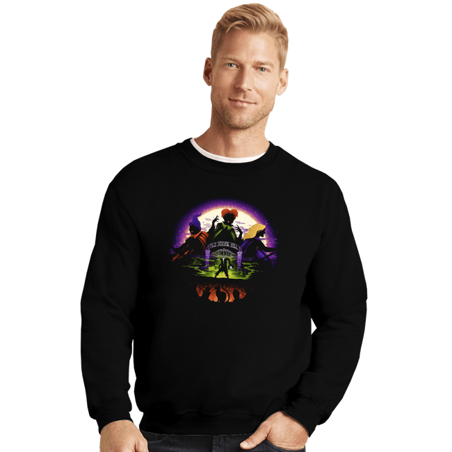 Secret_Shirts Crewneck Sweater, Unisex / Small / Black Come We Fly