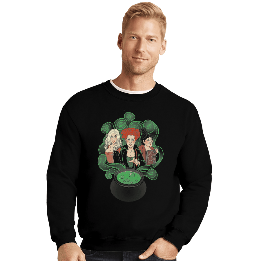 Shirts Crewneck Sweater, Unisex / Small / Black Hocus Pocus