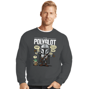 Shirts Crewneck Sweater, Unisex / Small / Charcoal The Polyglot