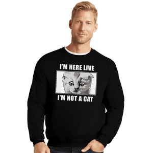 Shirts Crewneck Sweater, Unisex / Small / Black Zoom Cat