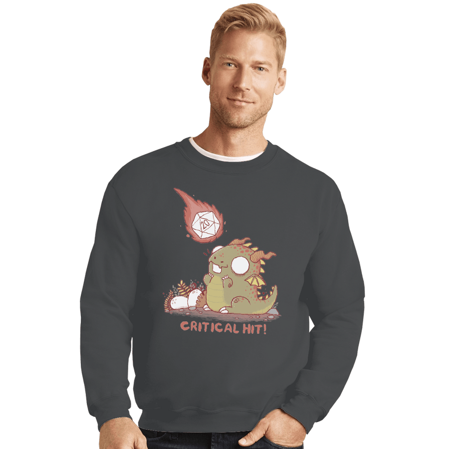 Shirts Crewneck Sweater, Unisex / Small / Charcoal Critical Hit