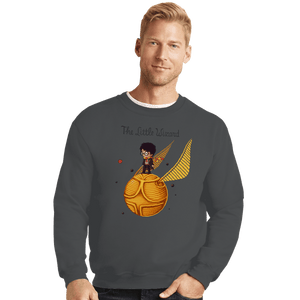 Shirts Crewneck Sweater, Unisex / Small / Charcoal The Little Wizard