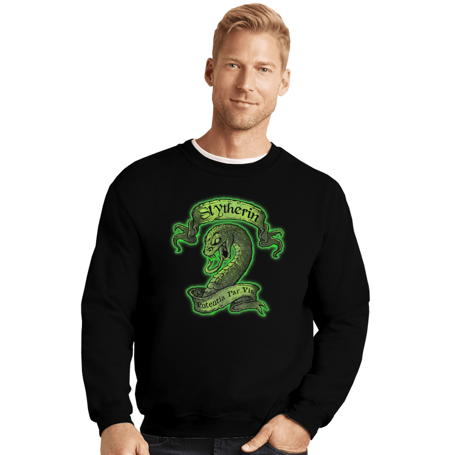 Shirts Crewneck Sweater, Unisex / Small / Black Slytherin