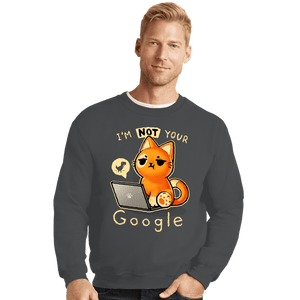 Daily_Deal_Shirts Crewneck Sweater, Unisex / Small / Charcoal Not Your Google