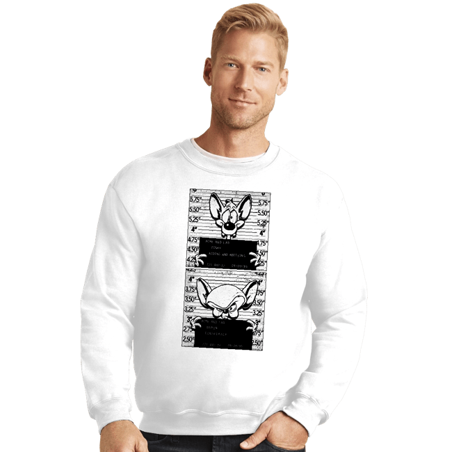 Secret_Shirts Crewneck Sweater, Unisex / Small / White Pinky And Brain Mugshot