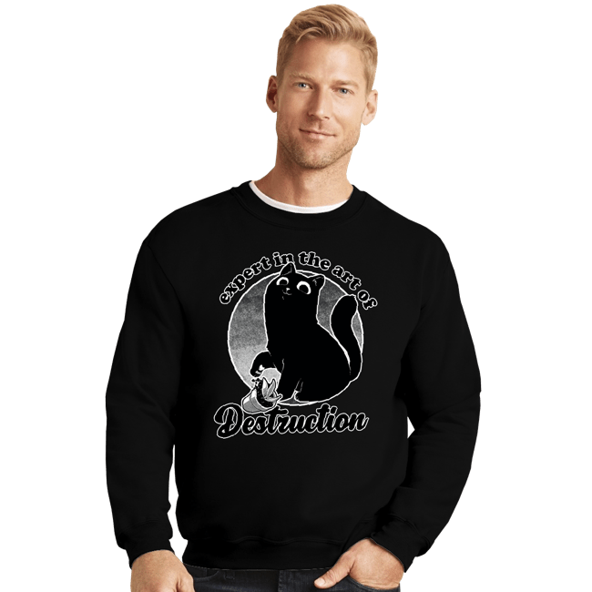 Secret_Shirts Crewneck Sweater, Unisex / Small / Black Expert In Destruction