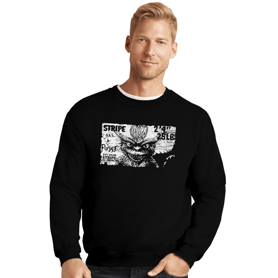 Shirts Crewneck Sweater, Unisex / Small / Black Stripe Has A Posse