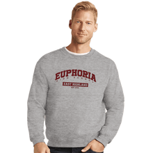 Load image into Gallery viewer, Secret_Shirts Crewneck Sweater, Unisex / Small / Sports Grey Euphoria High School
