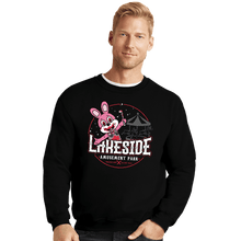 Load image into Gallery viewer, Daily_Deal_Shirts Crewneck Sweater, Unisex / Small / Black Lakeside Park
