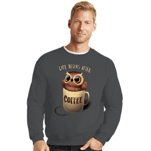 Shirts Crewneck Sweater, Unisex / Small / Charcoal Night Owl