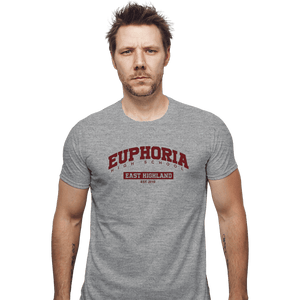 Secret_Shirts Fitted Shirts, Mens / Small / Sports Grey Euphoria High School