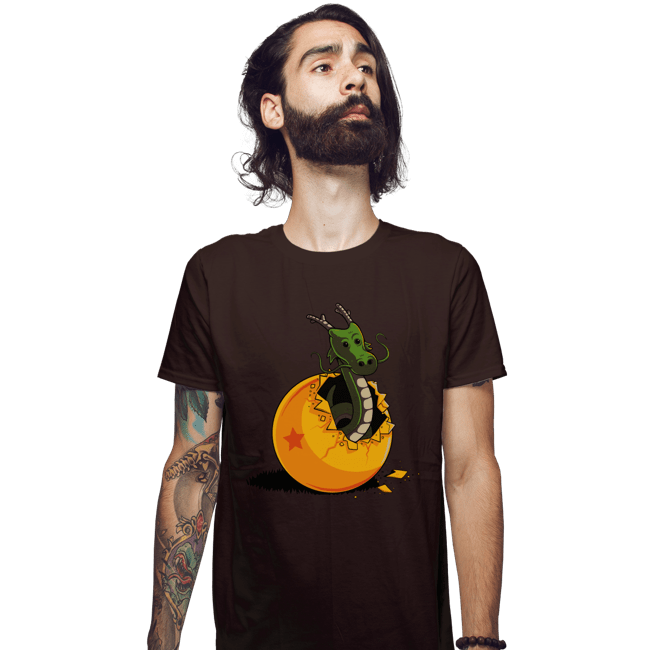 Shirts Fitted Shirts, Mens / Small / Dark Chocolate Dragon Egg